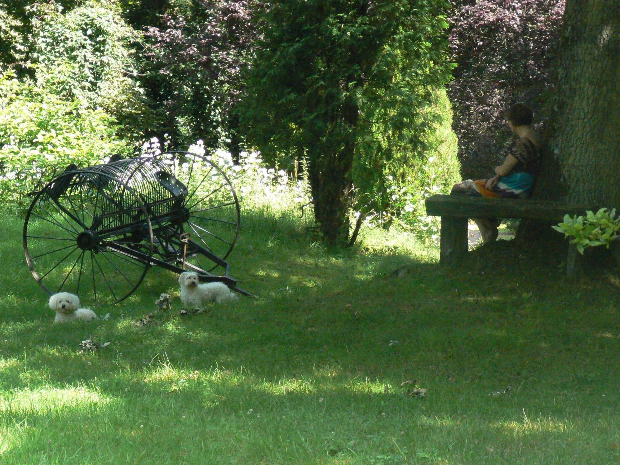 Chambre d'hôtes du Moulin de Landonvillers Courcelles-Chaussy Extérieur photo