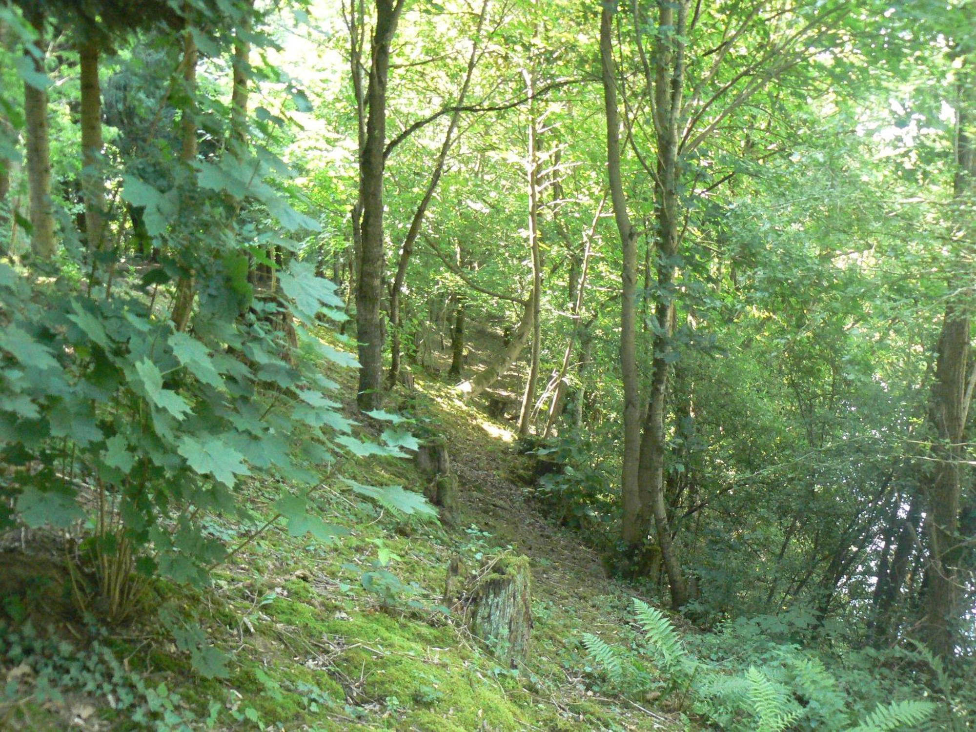 Chambre d'hôtes du Moulin de Landonvillers Courcelles-Chaussy Extérieur photo